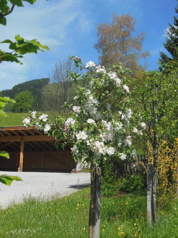 Haus Schoenleiten Wagrain Exterior photo